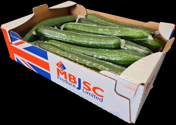 Cucumber box