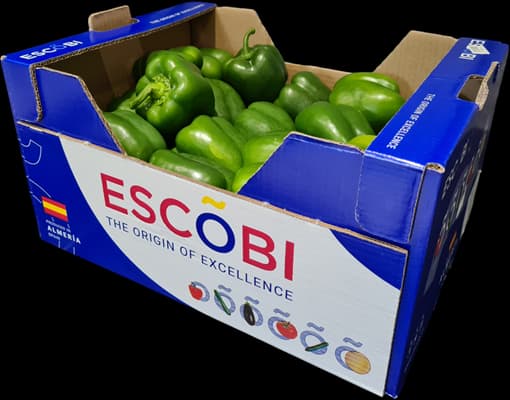 Box of green capsicums