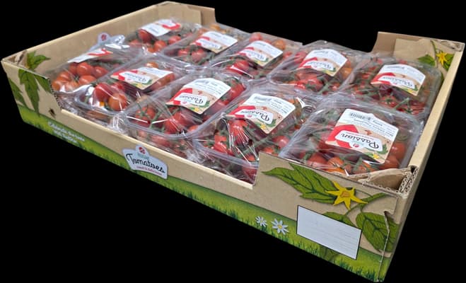 Cherry Vine Tomatoes Prepacked