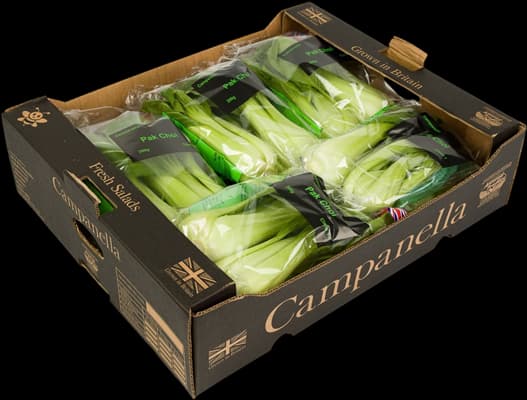 Pak Choi Prepacked