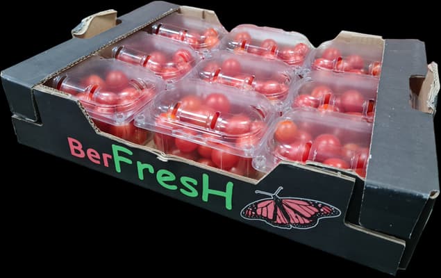 Cherry Tomatoes Prepacked