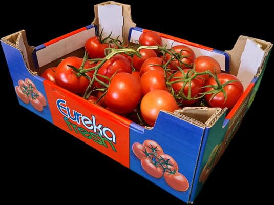 Vine Tomatoes