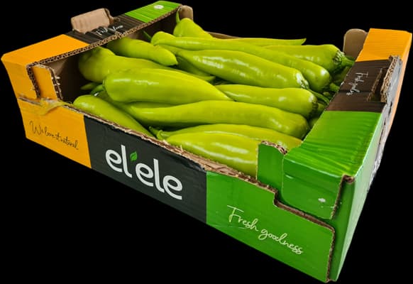 Turkish Charleston Chilli